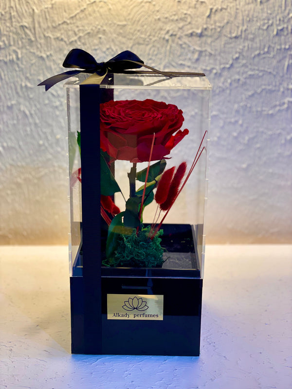 Forever red rose acrylic box